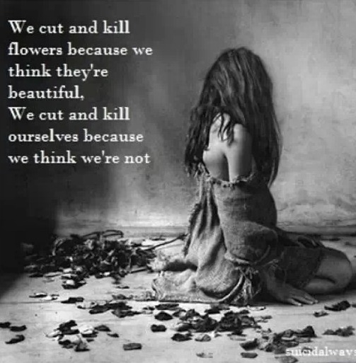bonesman44:  We’re all beautiful in our own way. 