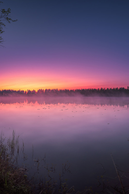 lsleofskye:  Sunset on forest pond 