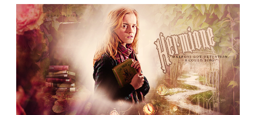 dead-sirius:  Favorite Harry Potter Heroines   Related Quotes 