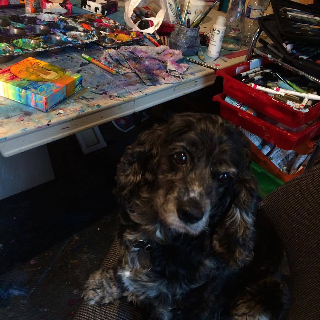 brigosselin:  Best studio mate around 😉 #artstudio #cockerspaniel #artistslife