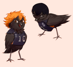 koffo-art:  little baby crows hinata and