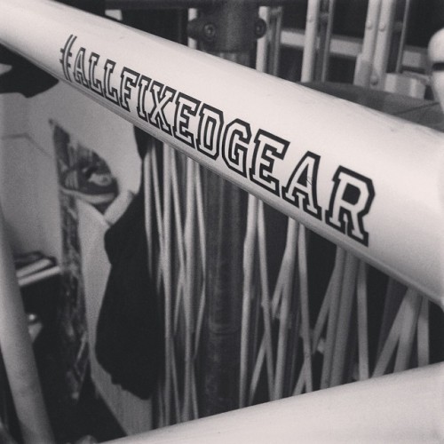 THE PUREST EXPRESSION OF A BICYCLE