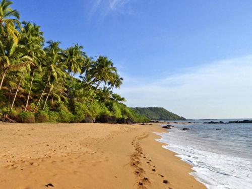 bountybeaches:  ‘GOA Beach’  India  Keep reading