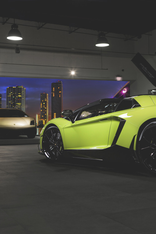 Lambo 50th by Jordan Krate | S.L.a.B.