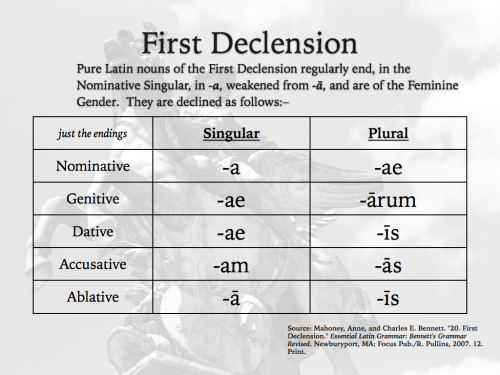 yolo-are-avi-atum:Grammatica hodierna – First Declension