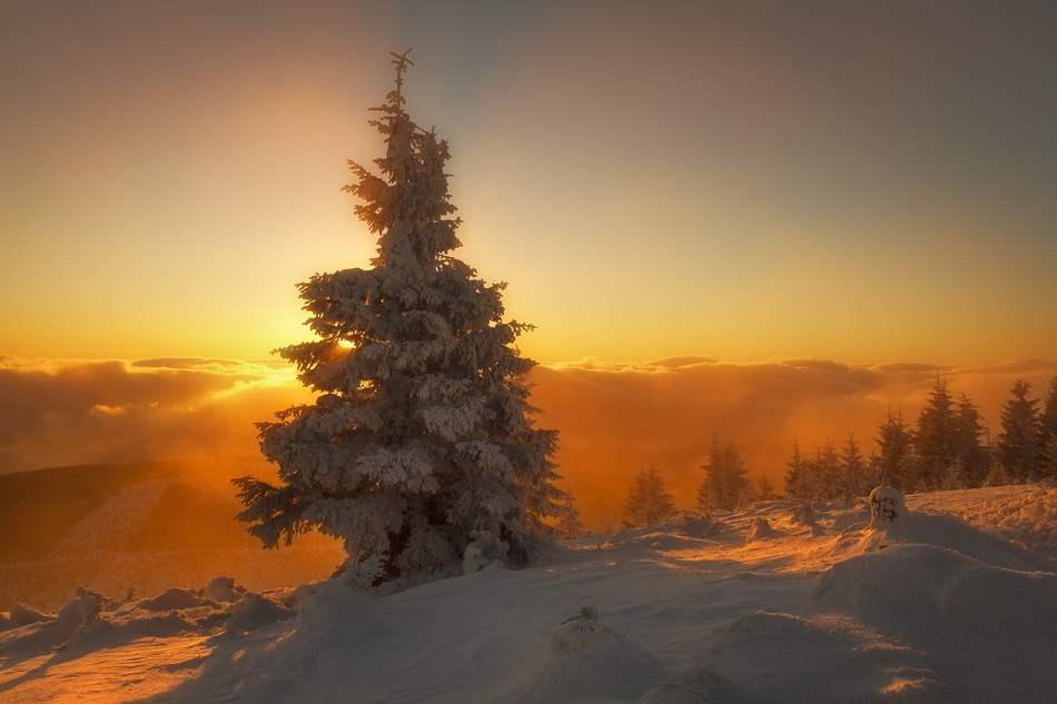 worldes:  The Beginning of the End of the World II. by Iza and Darek  