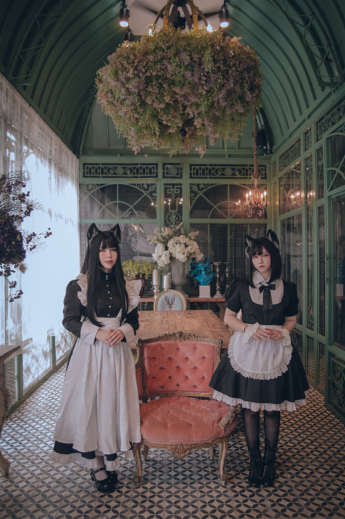 neko-story-lolita:  2019/08/23宅邸日常
