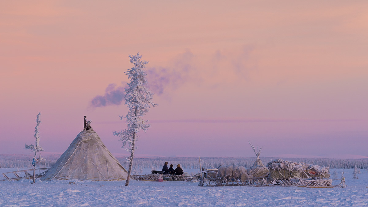 krasna-devica: Yamal, Siberia