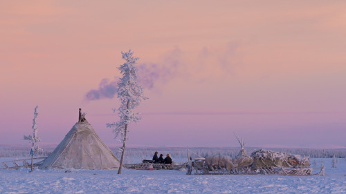 XXX krasna-devica: Yamal, Siberia photo