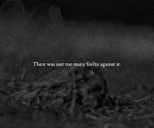 Tragedies Are Like... The Love Was There. It Didn't Change Anything. It Didn't Save Anyone. There Were