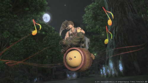 clovermemories: FFXIV - Patch 5.2 site updated!New hairstyles, emotes, minions, equipment, mounts…