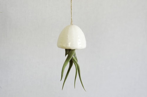 Hanging Decoration Air Planter Jellyfishby this Star Seller on Etsy :  Here 