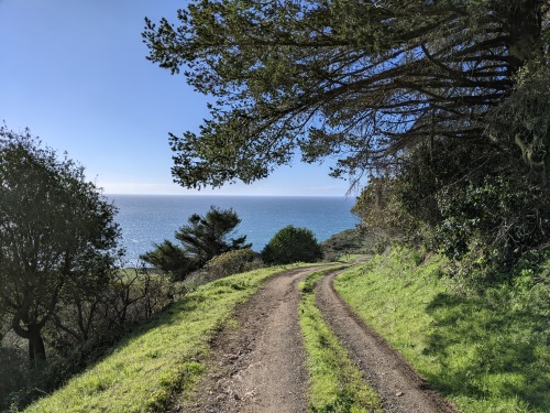 Wildcat Camp, Point Reyes National Seashore, California