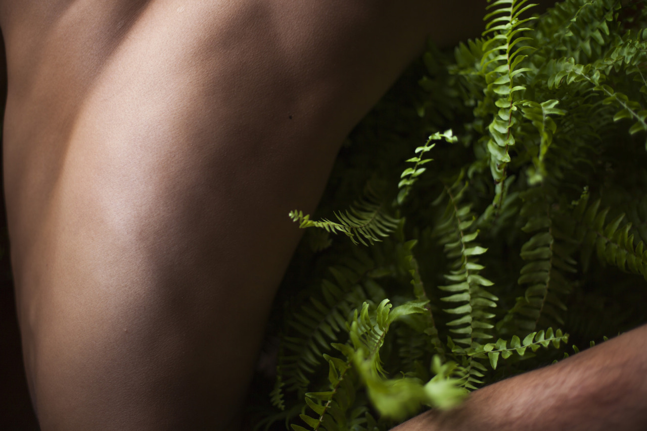 sean-clancy:  Houseplants, by Benedict ScheuerStarting a small series about my home,