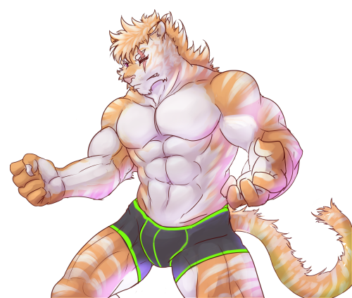 istani:  Golden tabby tiger. shiroganekotora’s commision.