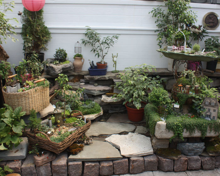 a-mini-a-day:  Nice container ideas from Oak Park Water Garden 