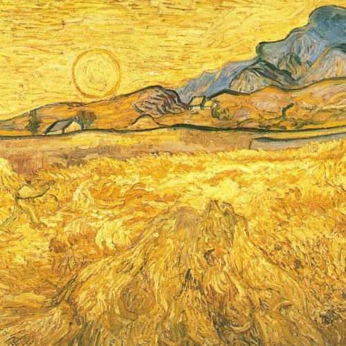 goldfern: how lovely yellow is. it stands for the sun. (vincent van gogh)