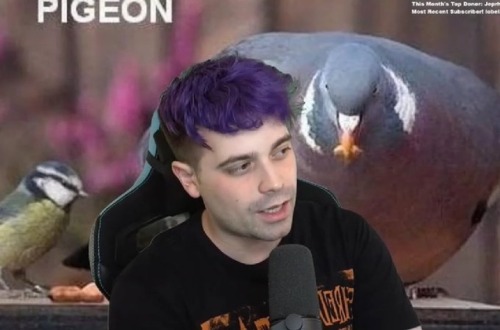 BREAKING NEWS!: Damien Is A Purple-haired Boy Now!