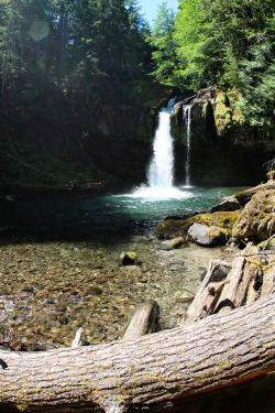 lovenaturewildlife:  Astonishing Landscapes: Nature and City Iron Creek Falls - Washington - USA (by David Fulmer)  via Tumblr