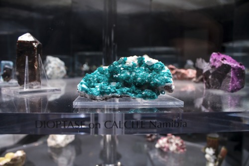 Dioptase on Calcite found in Namibia on display at Carnegie Museum of Natural History. (photo by Hay