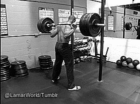 lamarworld:(PART 1 of 2) GIFS of celeb trainer David Moore’s ass.