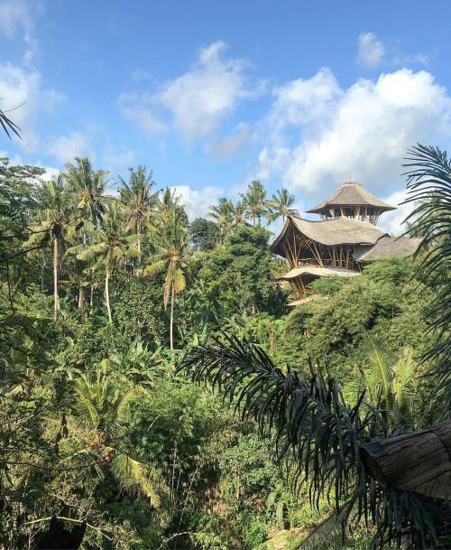 @Davod reports from the front: #architecture that grows from nature, the real sustainability Sumba H