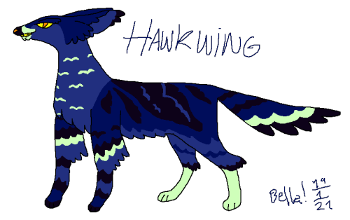 Hawkwing! I just met him but I wanted to draw him :] 