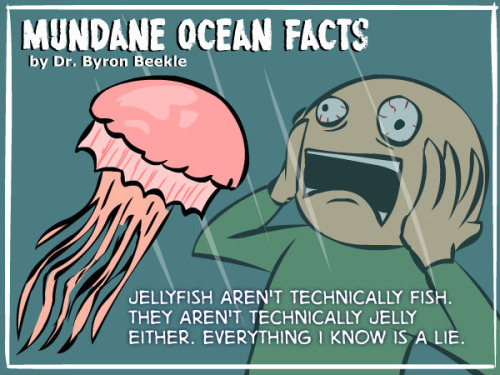 best-of-funny:  tastefullyoffensive:  Amazing Ocean Facts by Dr. Byron Beekle [natgeo]Previously: Animated Animals Facts  X