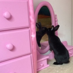 Babygirl-Blood:  My Lil Foster Baby Jayde Loves Her Lil Mirror 🐰💕🎀