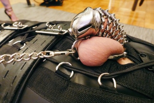 steelwerks:Make sure he’s well locked.