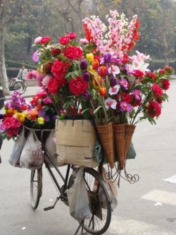 audreylovesparis:  Flower vendor in Paris