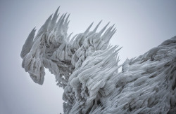 itscolossal:  After weeks of strong winds, ice, snow, and fog, photographer Marko Korosec climbed a mountain in eastern Slovenia and this is what he discovered. 