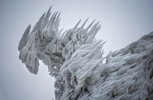 itscolossal:After weeks of strong winds, ice, snow, and fog, photographer Marko Korosec climbed a mo