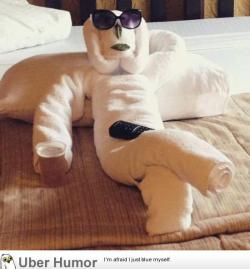 omg-pictures:  Friend stayed at a hotel with the best welcome towel art ever.http://omg-pictures.tumblr.com