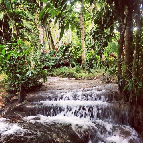 havesneakerswilltravel:  The top of Dunn’s River Falls in Ocho Rios, Jamaica. Feb 2014 