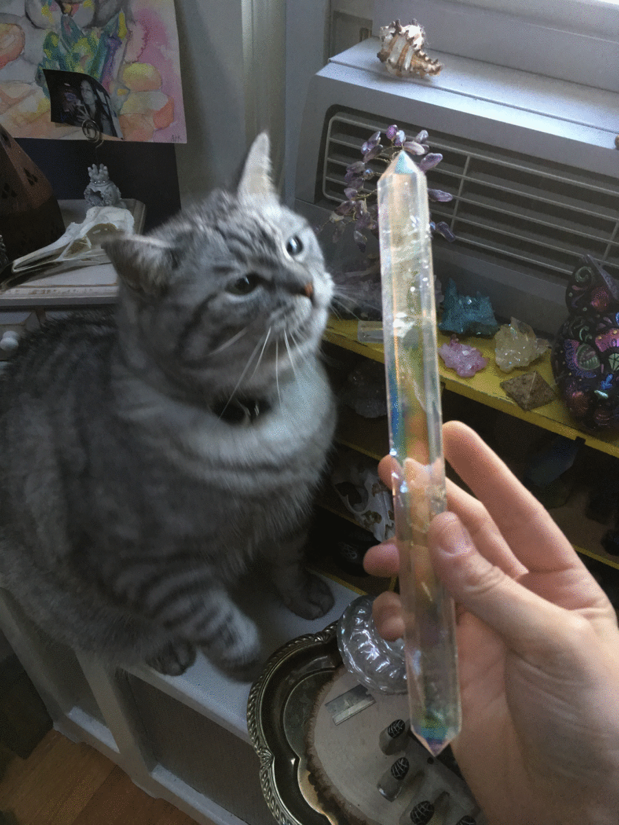 mamadivaa:  adrien-rose:  mamadivaa: Greedy crystal kitty!!!  Why isn’t she evolving