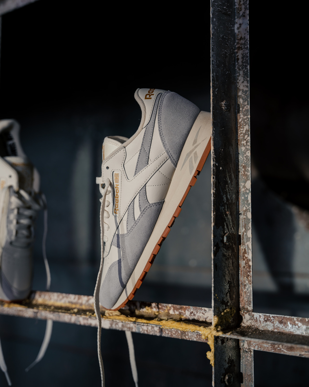 Kicksaddict Reebok Dusty Warehouse