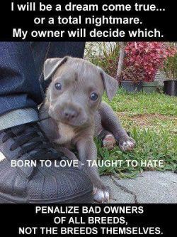 Psychekotikkittyofdaaath:  Amen. Damn You Bsl. -Kitty