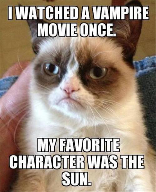 Just Funny Pictures