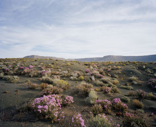 princessconsuela: Tanqa National Park, Karoo, South AfricaDavid Chancellor