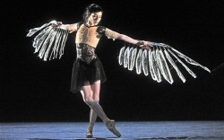 foxspur:  Royal Ballet, Coregrapher: Wayne