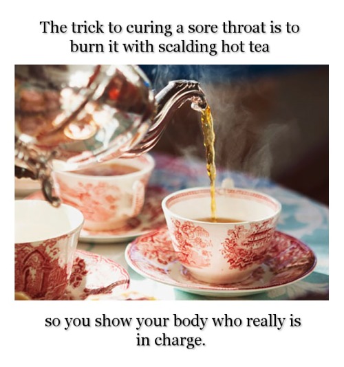 wwinterweb:Your move, central nervous system… your move (via Antnioob)