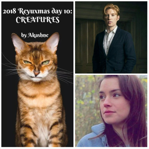 akashne:2018 Reyuxmas say 10: CREATURESorHow Millie Adopted Hux read it here@reyuxmas