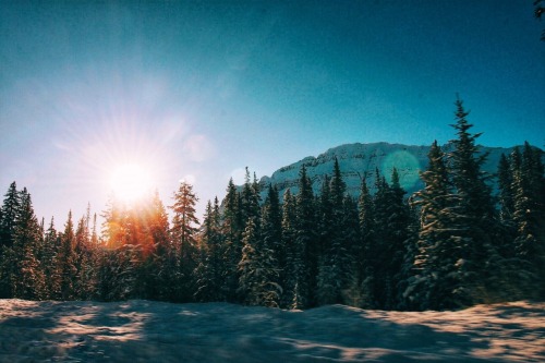 avenuesofinspiration:We are the lights so bright and we’re dancing on our own | @Mammothstock | AOI