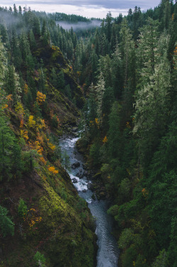 millivedder:  Skokomish River 