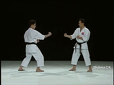 heroofomegle:  Karate: Saifa Bunkai (video) 