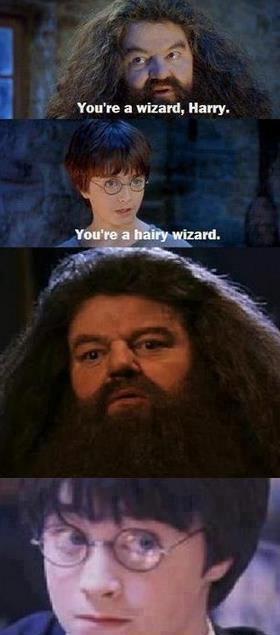 advice-animal:  Harry Potter Memehttp://advice-animal.tumblr.com