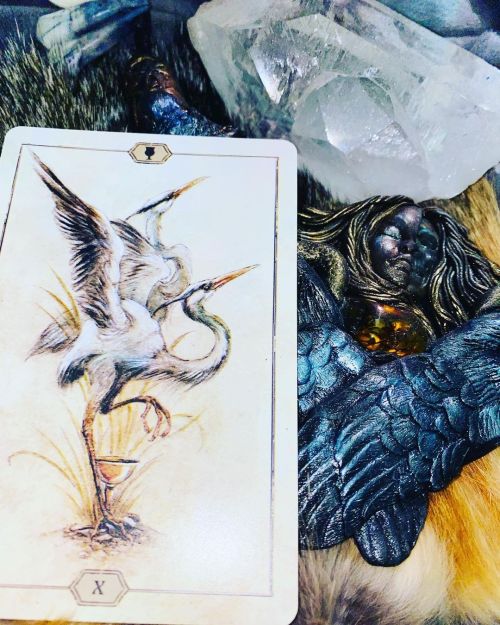 #tarot  www.instagram.com/p/CKfAZhEn0hD/?igshid=nxs6dj4n6ahn