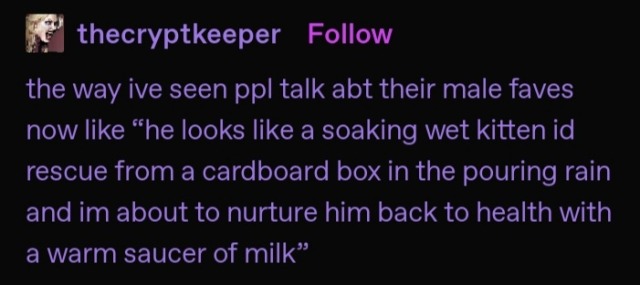 tumblr post by @thecryptkeeper reading "the way ive seen ppl talk abt their male faves now like 'he looks like a soaking wet kitten id rescue from a cardboard box in the pouring rain and im about to nurture him back to health with a warm saucer of milk' "