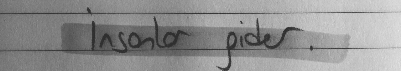 P.Ç.R.Y.